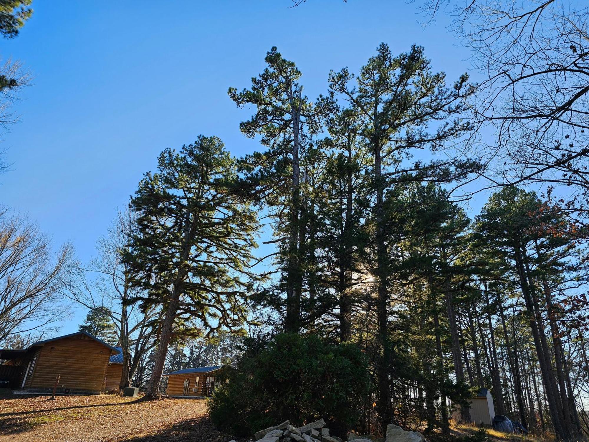 5 Min To Beaver Lake-King Bed-Fire Pit-Jetted Tub #3 Eureka Springs Eksteriør bilde