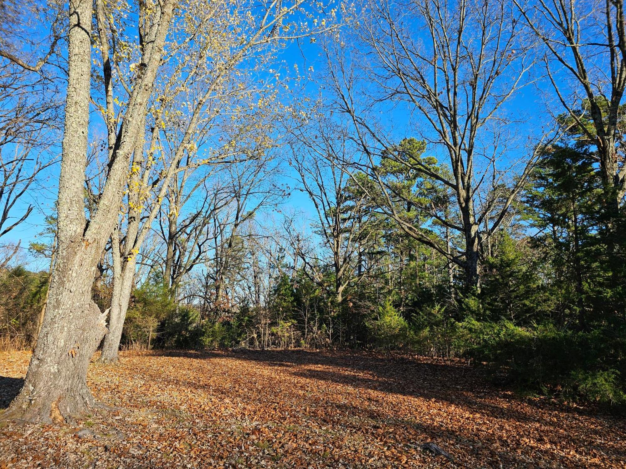 5 Min To Beaver Lake-King Bed-Fire Pit-Jetted Tub #3 Eureka Springs Eksteriør bilde